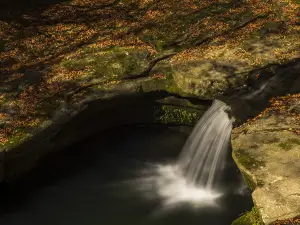 Liping National Forest Park