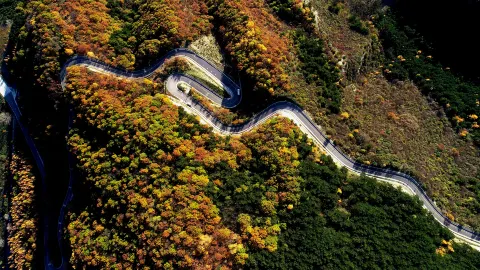 六盤山国家森林公園 attraction in 固原