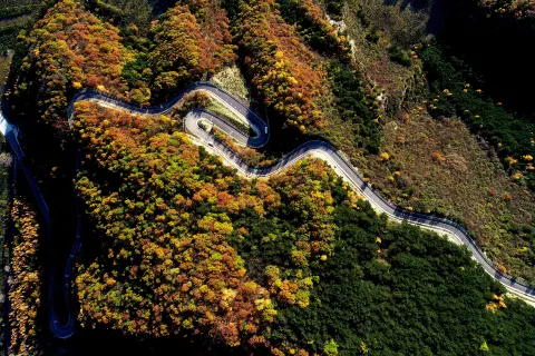 Liupan Mountain National Forest Park