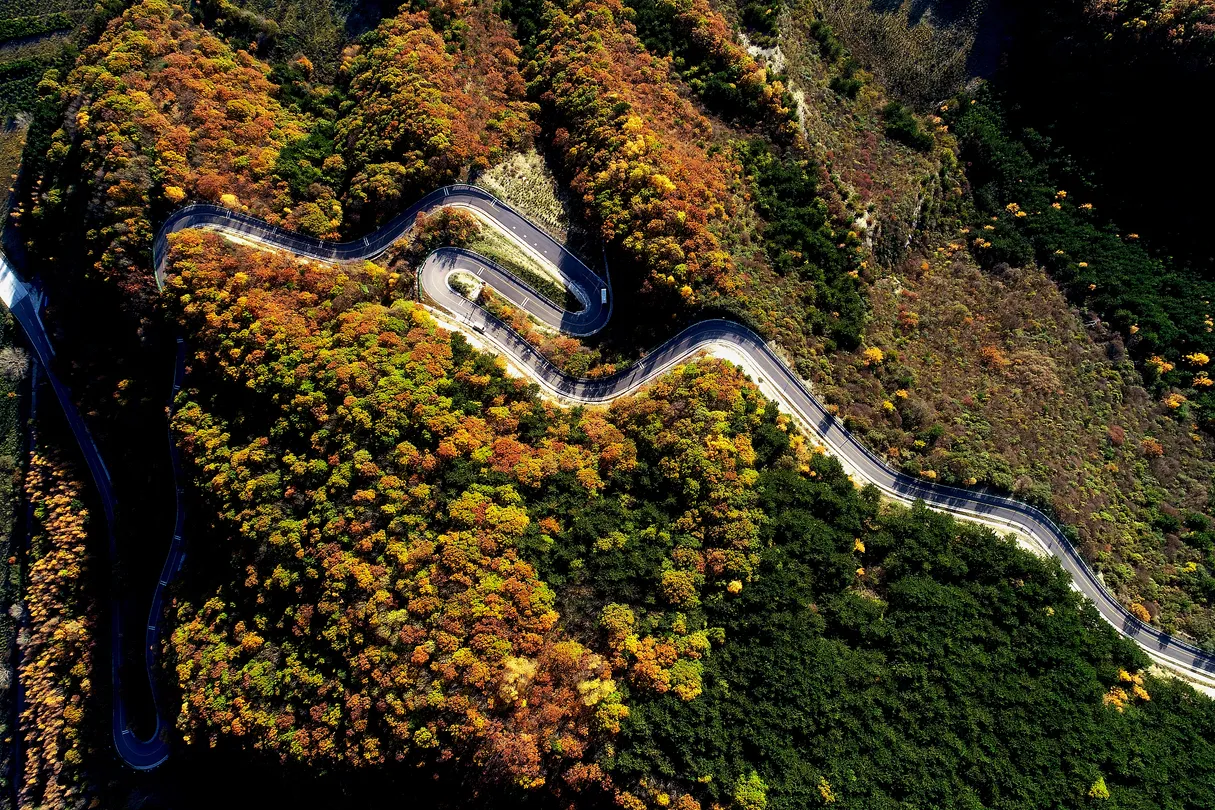 3_六盤山國家森林公園
