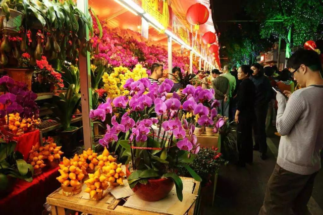 2025荔灣區迎春花市 | 廣州