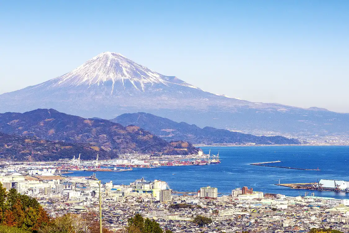 Hotels near Shimizu Port