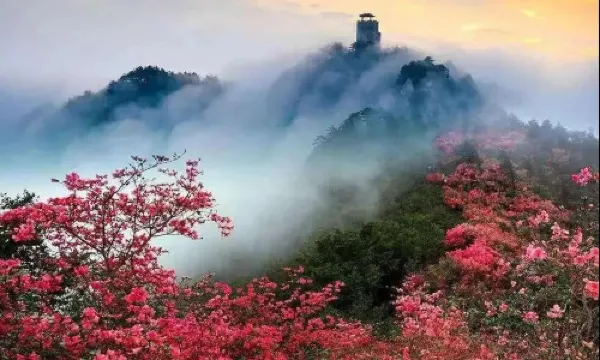 Tiantangzhai National Forest Park