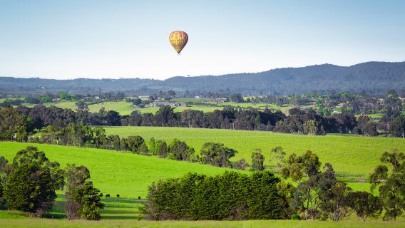 Yarra Valley & Dandenongs Ranges
