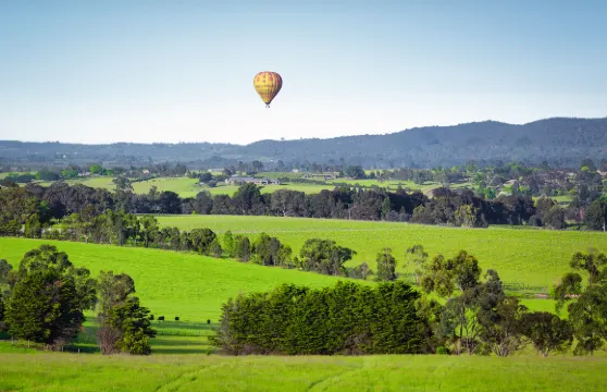 亞拉河谷熱氣球航班連早餐成人