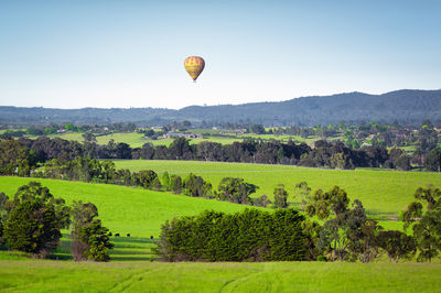Yarra Valley & Dandenongs Ranges