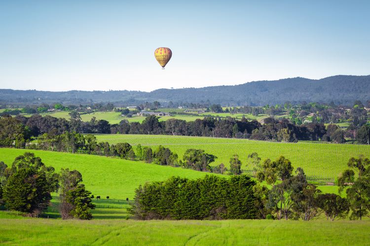 Yarra Valley & Dandenongs Ranges
