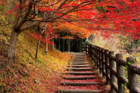 Kumano-Kodo Nakahechi Pilgrimage Route