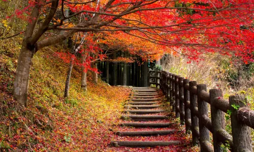 Kumano-Kodo Nakahechi Pilgrimage Route