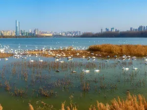 Swan Lake National Urban Wetland Park