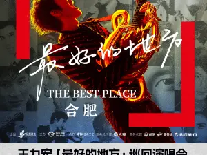 合肥 · 王力宏「最好的地方」巡迴演唱會-合肥站