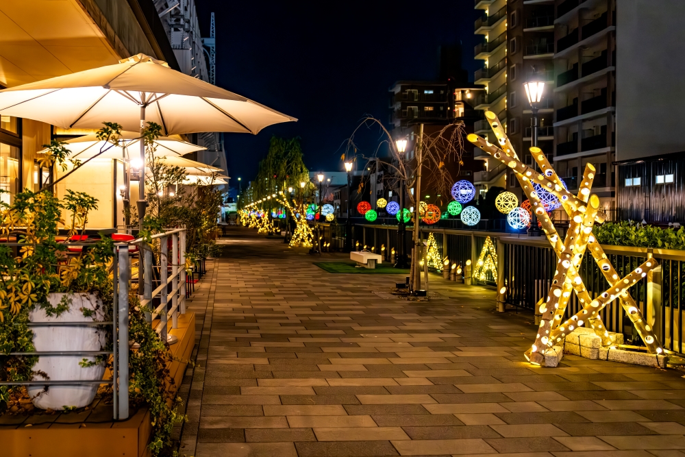 Tokyo Downtown Stroll with Bamboo Lanterns | Tokyo