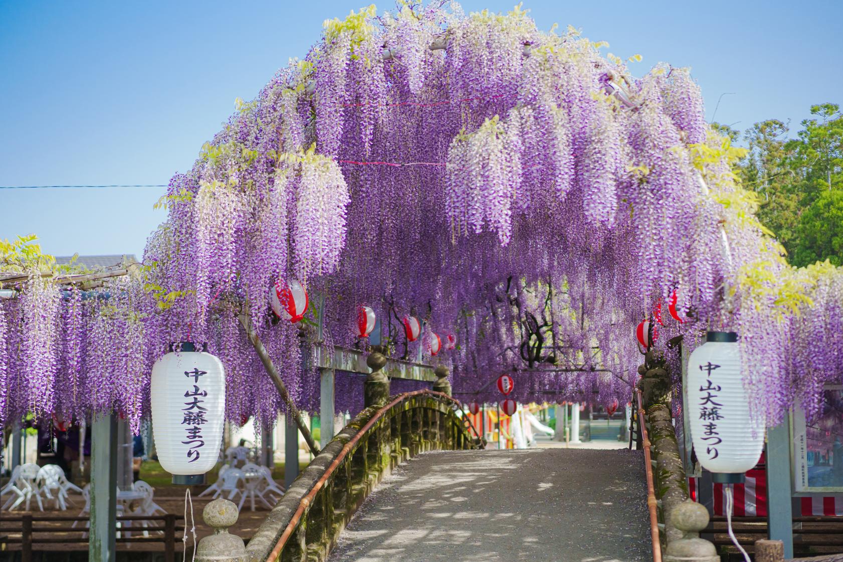 Nakayama Oto Festival | Yanagawa