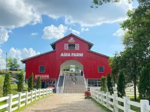 ThemePark Asia Farm Hayday