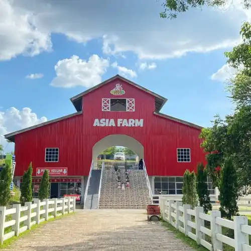 ThemePark Asia Farm Hayday