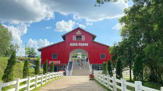 ThemePark Asia Farm Hayday