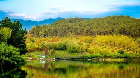 蓮花湖濕地公園 attraction in 達州