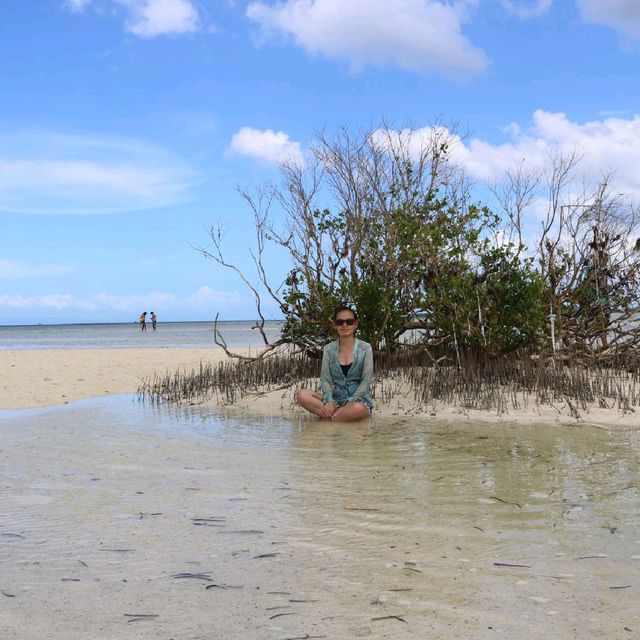 A lengthy sandbar