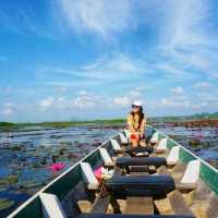 ล่องเรือ ชมดอกบัวแดง บัวขาว พัทลุง
