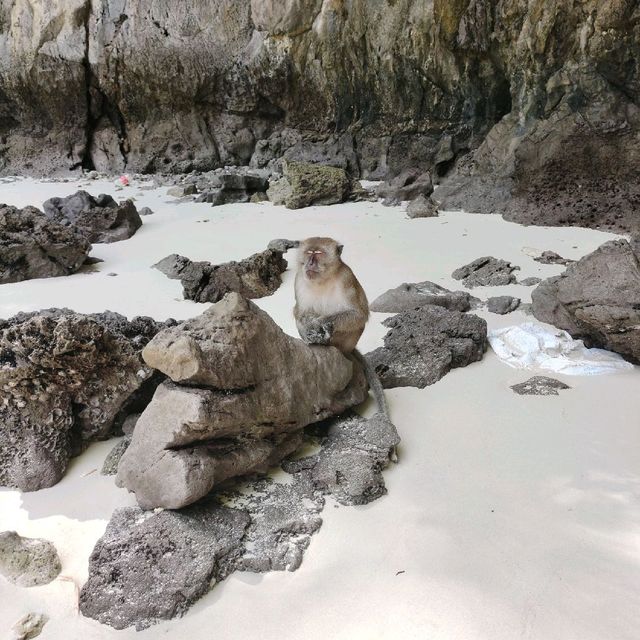 Fantastic trip to Phi Phi Island