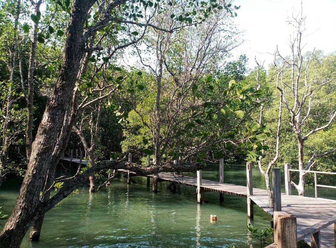 ที่เที่ยวใกล้หาดเจ้าหหลาว