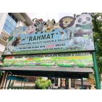 Rahmat Wildlife Museum