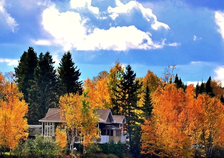 加拿大簽證申請流程全攻略:簽證種類、身體檢查、所需費用及相片規格