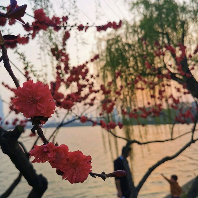 Spring