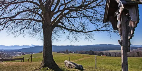 Keltenschanze bei Fentbach