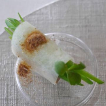 ESqUISSE用戶圖片