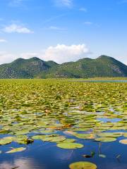 Scutari Lake