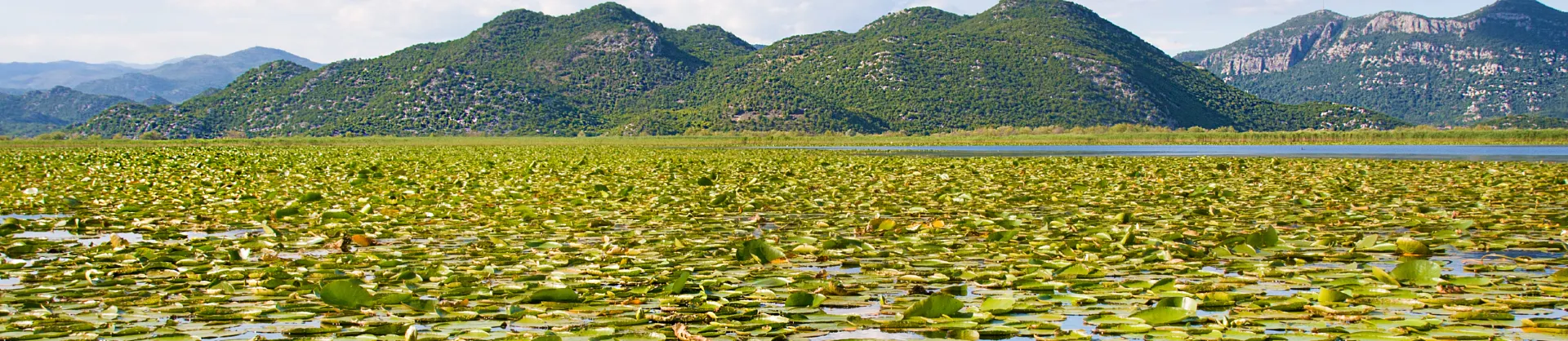 Villégiature d'été