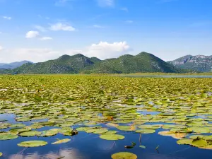 斯庫台湖