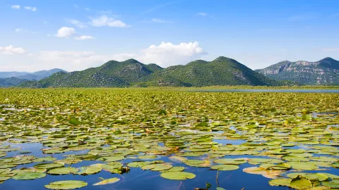 Malesi e Madhe District travel destination