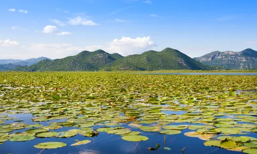 斯庫台湖