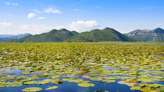 Lago di Scutari