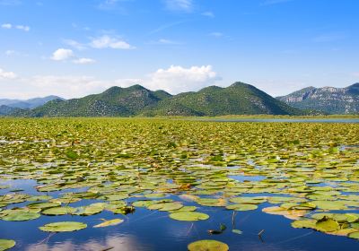 Scutari Lake