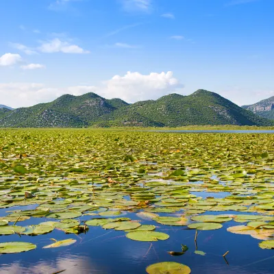 地拉那民宿