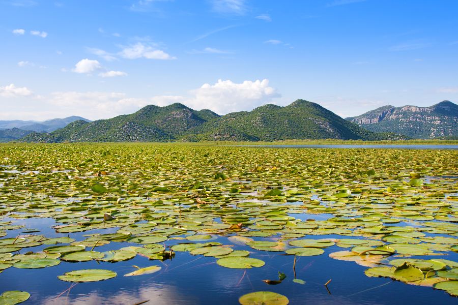 斯庫台湖