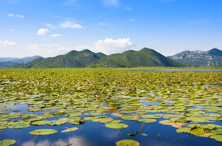 말러시에마데 현 호텔