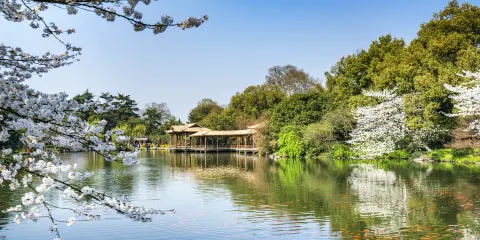 杭州西湖一日遊【私家小團+專車接送+全程陪同講解】