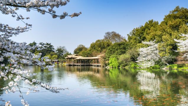 杭州西湖一日遊【私家小團+專車接送+全程陪同導覽】