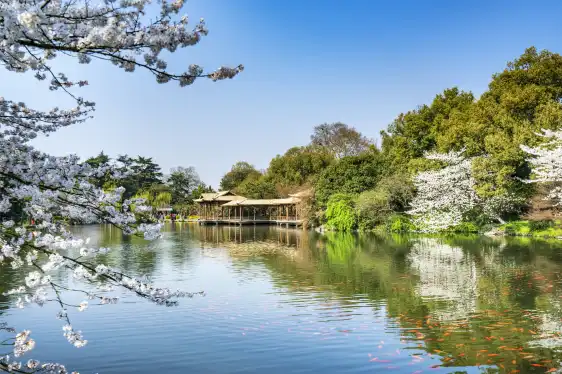 โรงแรมใกล้วิวท่าเรือดอกไม้