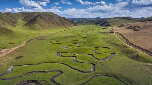 Maqu Grassland