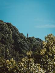 Wenfeng Tower, Chongqing