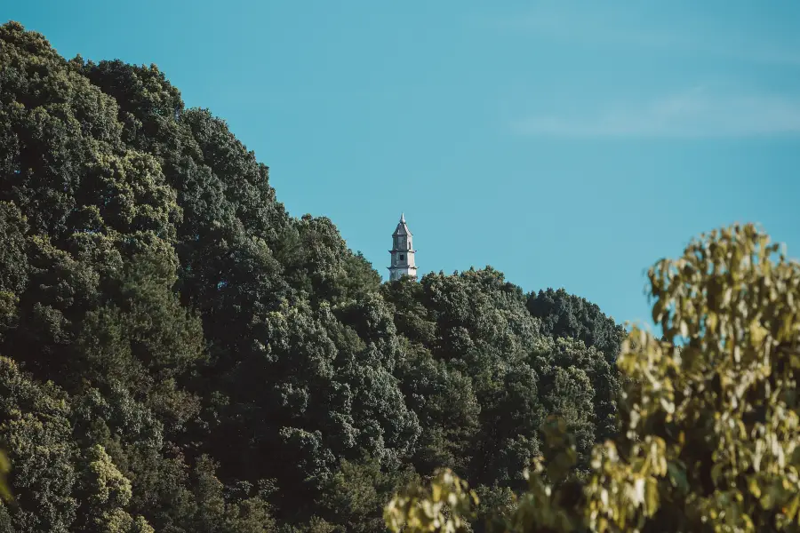 Wenfeng Tower, Chongqing