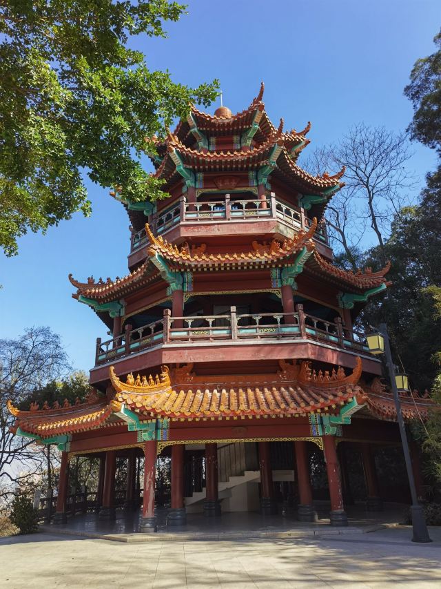 Guangdong Shenguangshan Forest Park