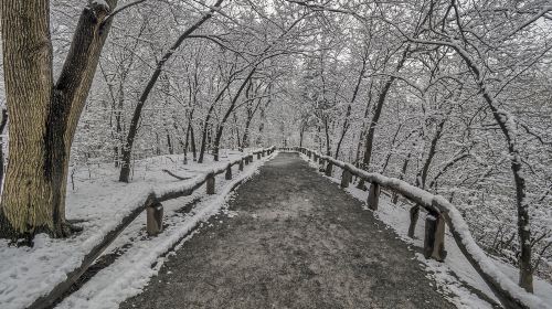 The Vigeland Park