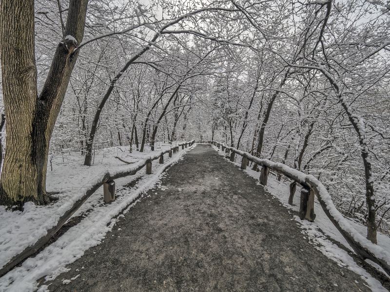 維格蘭雕塑公園