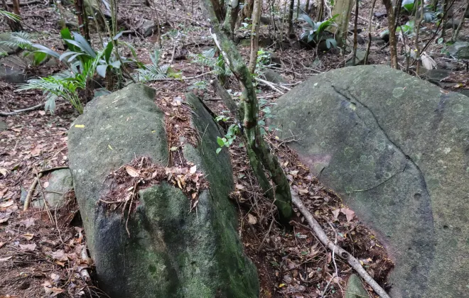 Отели с услугой Интернет в г. Порт-Морсби